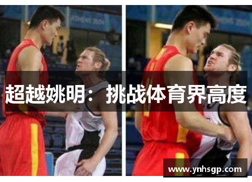 超越姚明：挑战体育界高度