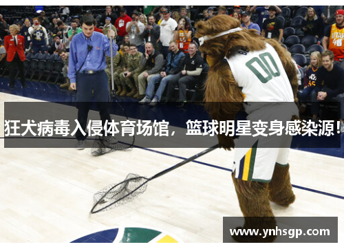 狂犬病毒入侵体育场馆，篮球明星变身感染源！